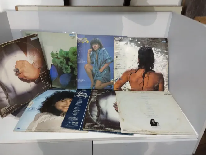 Discos de vinil Roberta Miranda- 9 discos 