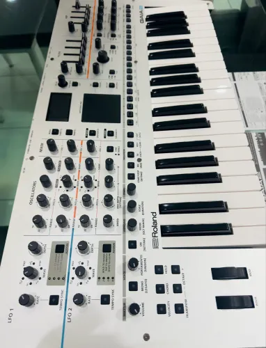 Roland Gaia-2