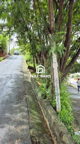 Lote à venda na Av. Teresa Cristina Nova Suíssa