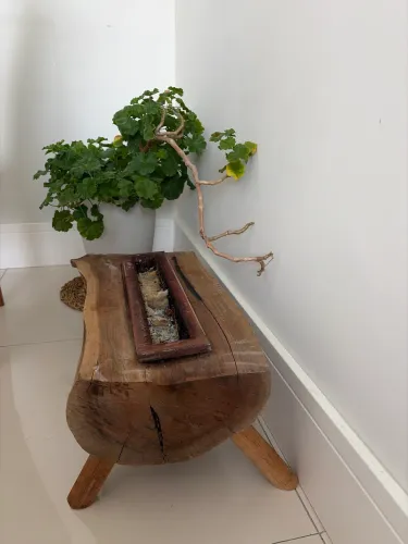 Lareira ecológica madeira