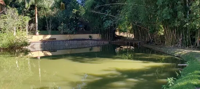 VENDO CHÁCARA EM SANTA RITA DO ZARUR (COM LAGO E PISCINA)