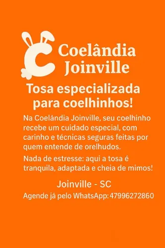 Tosa especializada em coelhinhos