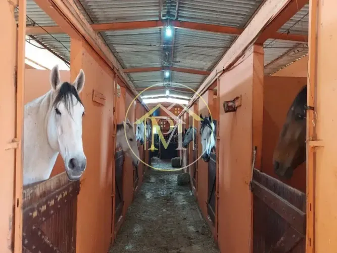 Haras com 4 dormitórios à venda, 192000 m² por R$ 3.500.000,00 - Jardim Santa Cruz - Iperó