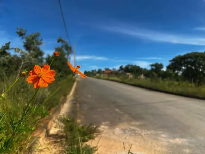 Oportunidade a 15min da Cachoeira Grande Lotes com Prestações de 1.239,00
