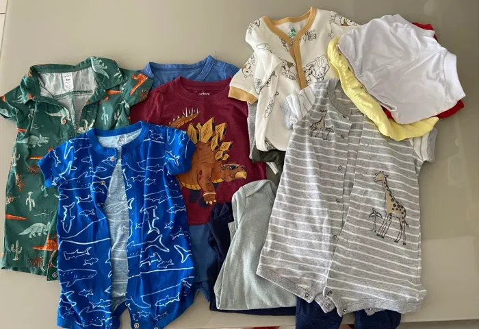 Lote de roupas menino - tamanho 9 meses - 15 peças 