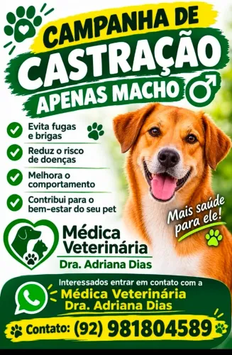 Camapanha