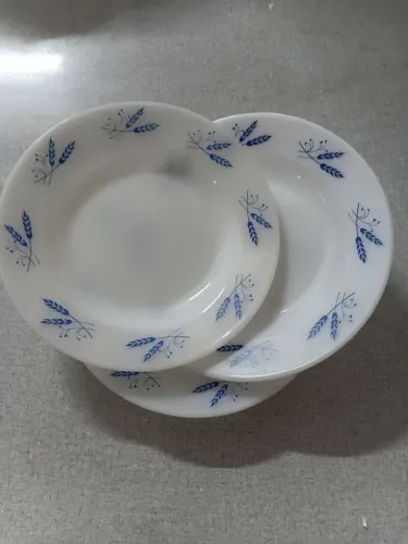 Pratos fundos colorex