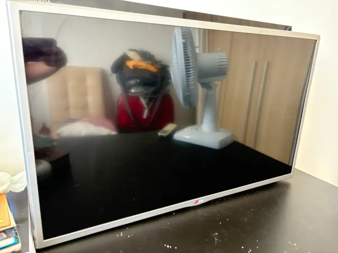 TV LG 32 polegadas com defeito 