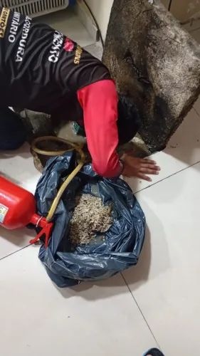 DESENTUPIDORA DESENTUPIDOR GARANTIMOS TRABALHO BEM FEITO!