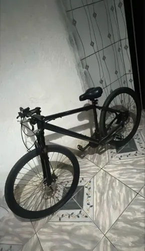 Bike Aro 29