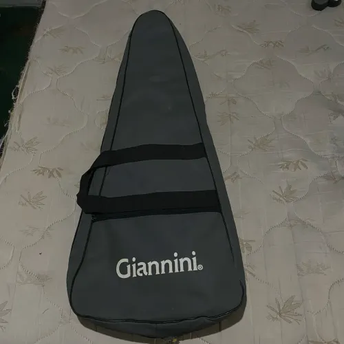 Capa de guitarra