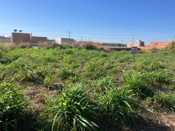Lote jardim imperial