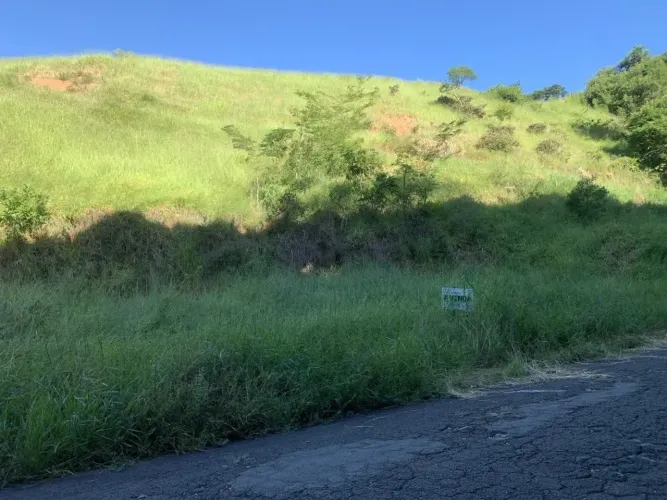 Leilão | Terreno para venda possui 360 m² em Cidade Jardim - Ubá - MG