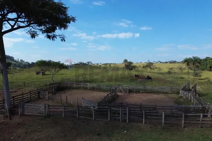 Fazenda Vera Cruz à venda em Cássia/MG | 199 ha com dupla aptidão, pecuária e agricultura