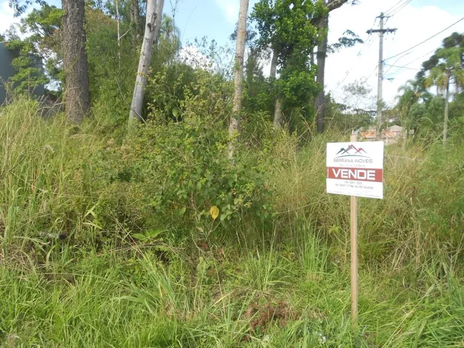 TERRENO COMERCIAL em Nova Petrópolis - RS, Vila Germania