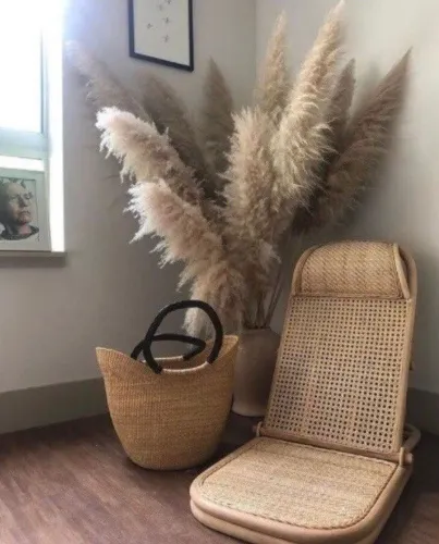 Capim dos pampas