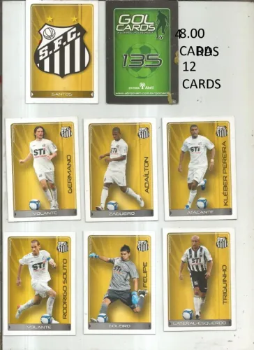 CARDS CAMPEONATO BRASILEIRO 2009/2010 ABRIL SANTOS - 48.00