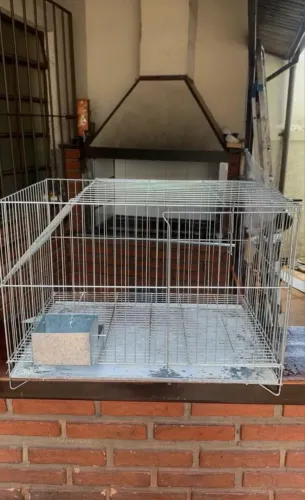 gaiola para aves