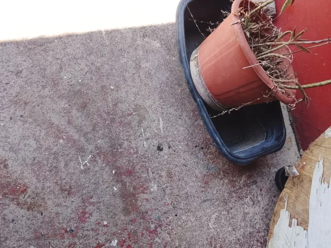 Vazos para plantas