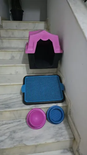Kit Pet