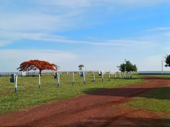 Linda fazenda em Rio Negro MS