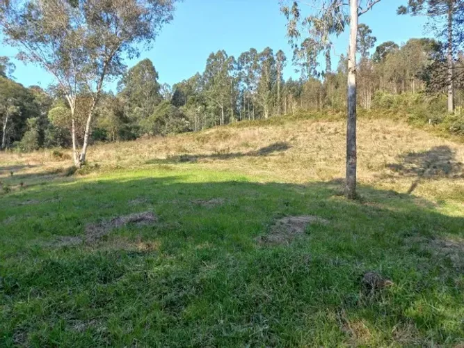 Linda chácara de 2 hectares a venda em Consolação  - Urubici-SC