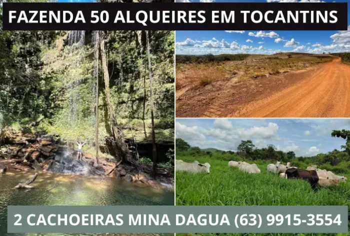 Fazenda, Terra, Lavoura, Porto Nacional, Agua, Rio, Corgo, Lago, Represa, Casa, Gado, Boi,