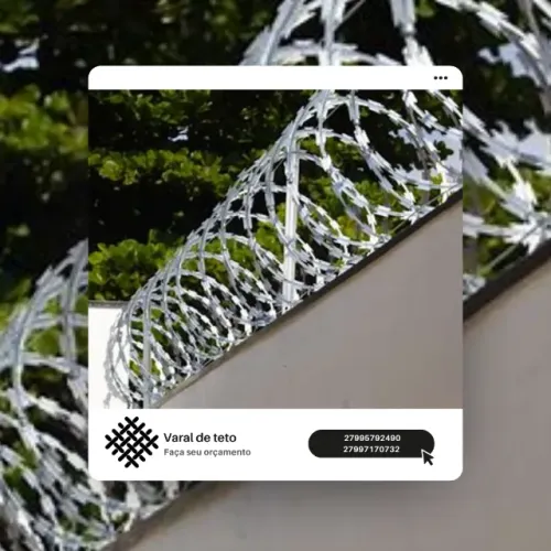 Concertina perimetral clipada