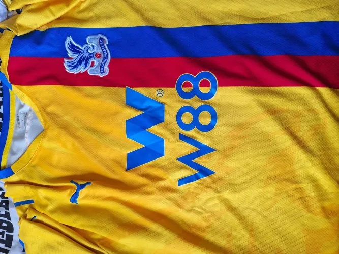 Camisa cristal palace inglês 