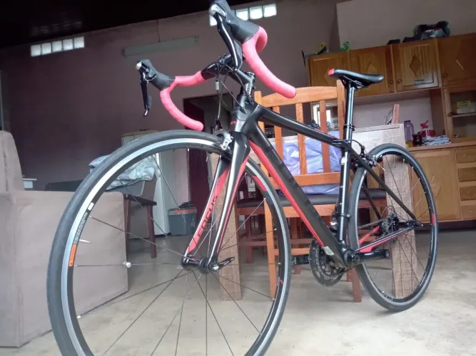 Bicicleta Focus Cayo Road Bike