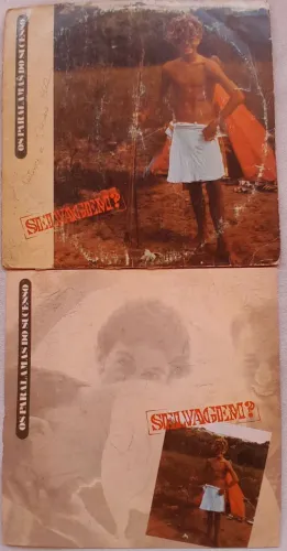 Disco de vinil OS Paralamas do Sucesso 