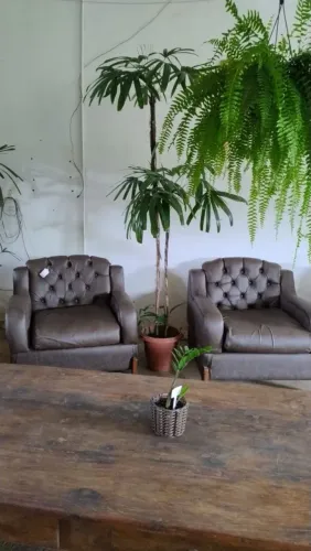 Poltronas, Preço Individual!