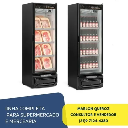 Refrigerador para Carnes e Cervejas Gepolar Novo