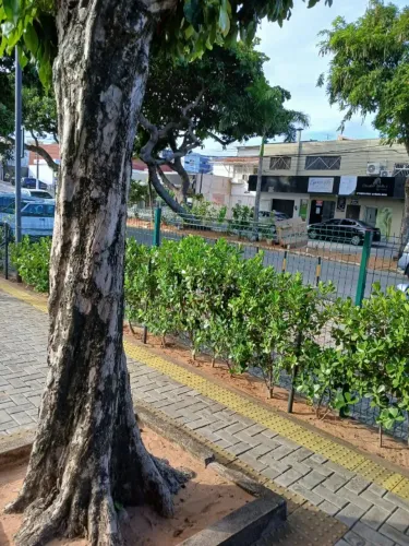 EXCELENTE PONTO COMERCIAL, ZONA SUL , POR TRÁS DO CCABSUL,LOJAS,ESCRITÓRIOS,SALÕES BELEZA
