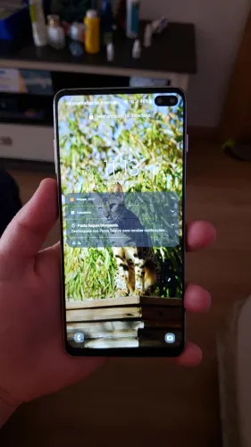 Samsung s10 plus Não está com a tela original