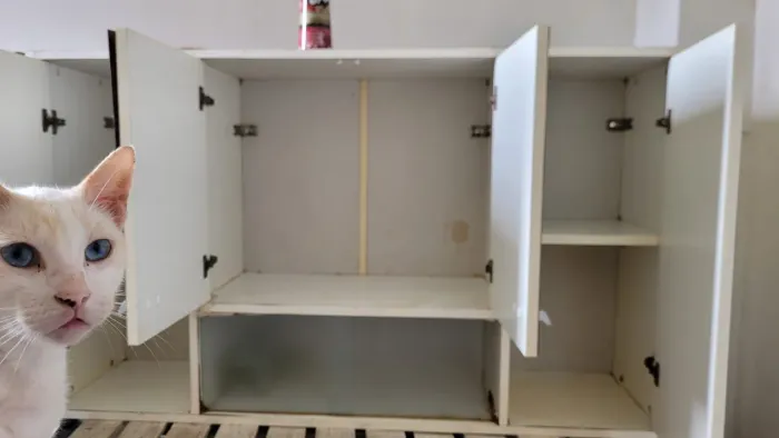 Armário multiuso (cozinha ou área de serviço)