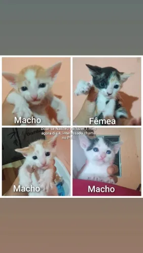 Doação