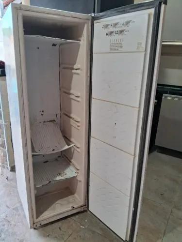 Freezer vertical