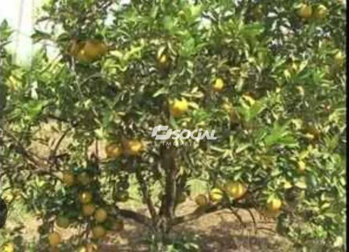 Área à venda, 11000000 m² por R$ 1.500.000,00 - Lagoa - Porto Velho/RO