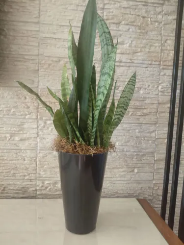 Jardinagem