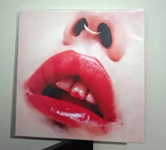 Lp Disco de Vinil - Catto - Caminhos Selvagens - Revista Noize