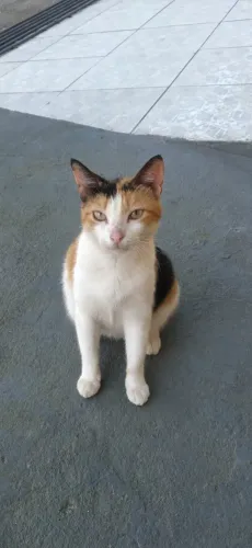 Doação
