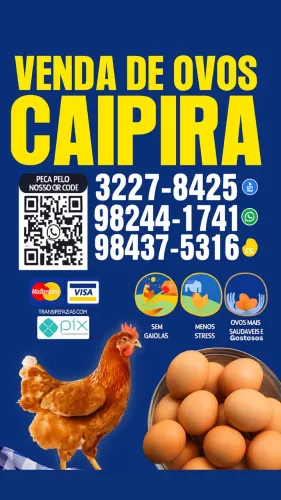 Ovos caipiras com entrega