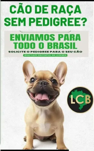 Seu cão de Raça precisa de Pedigree
