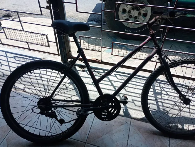 Bicicleta feminina