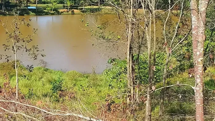 Fazenda a venda, em Itaberai - Goiás!!!