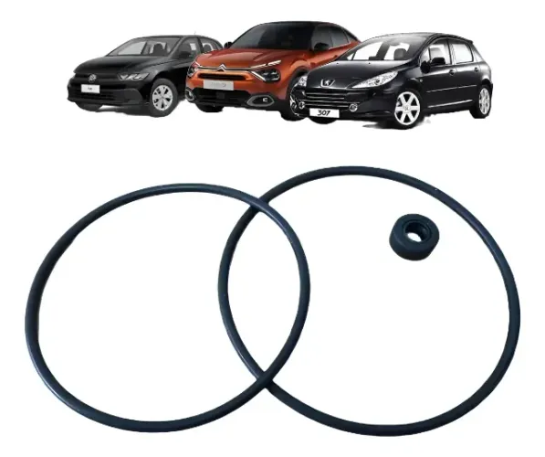 Oring Reparo Bomba Direção Eletro-hidráulica 307 C4