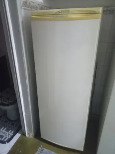Freezer Vertical Electrolux 
