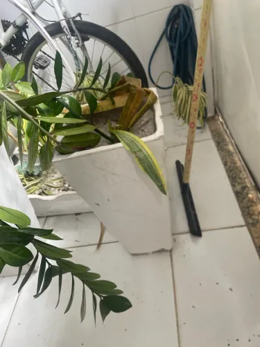 Plantas com jarros e jardineiras