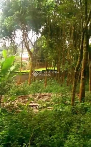 TERRENO NO BAIRRO DOS FINCO - RIACHO GRANDE - SÃO BERNARDO DO CAMPO.